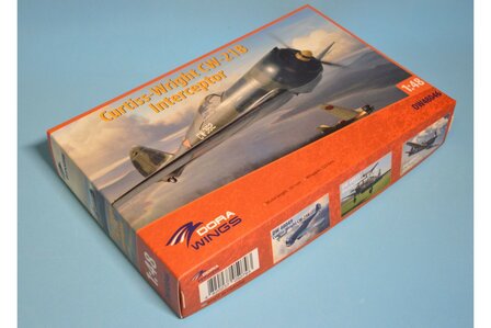 Dora Wings DW48046 - Curtiss-Wright CW-21B  Interceptor - 1:48