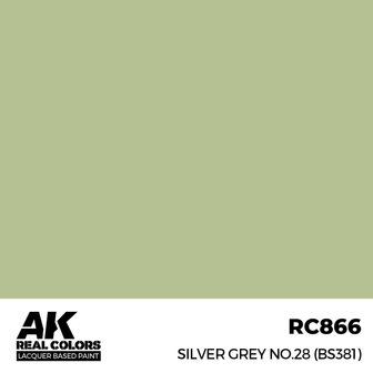 RC866 - Silver Grey No.28 (BS381) 17ml - [AK Interactive]