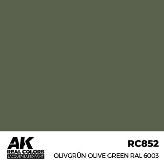 RC852 - Olivgr&uuml;n-Olive Green RAL 6003 17ml - [AK Interactive]