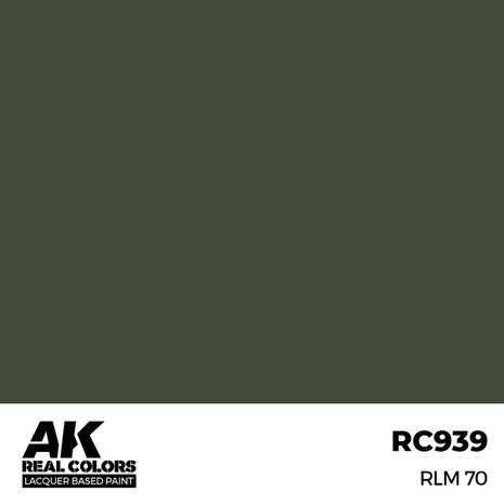 RC939 - RLM 70 17ml - [AK Interactive]