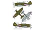 Dora Wings DW48029 - Republic P-43 Lancer - 1:48_